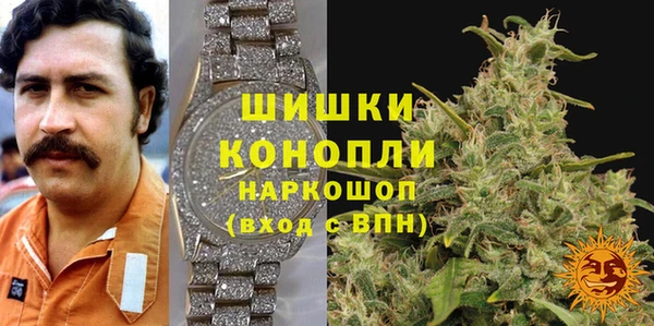 шишки Богородицк