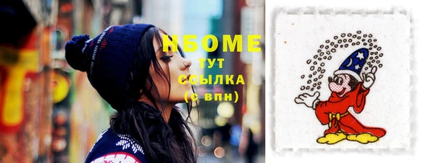 шишки Богородицк