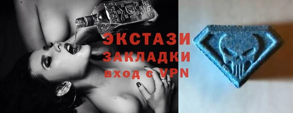 шишки Богородицк