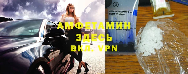 шишки Богородицк