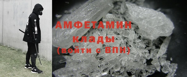 шишки Богородицк