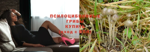 шишки Богородицк