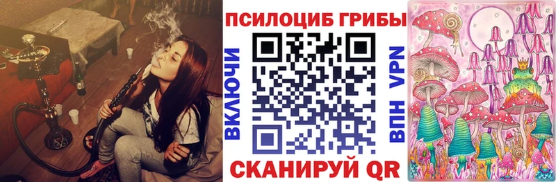 Псилоцибиновые грибы прущие грибы  Оха 